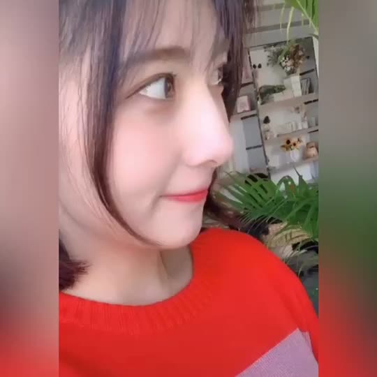 @🐑