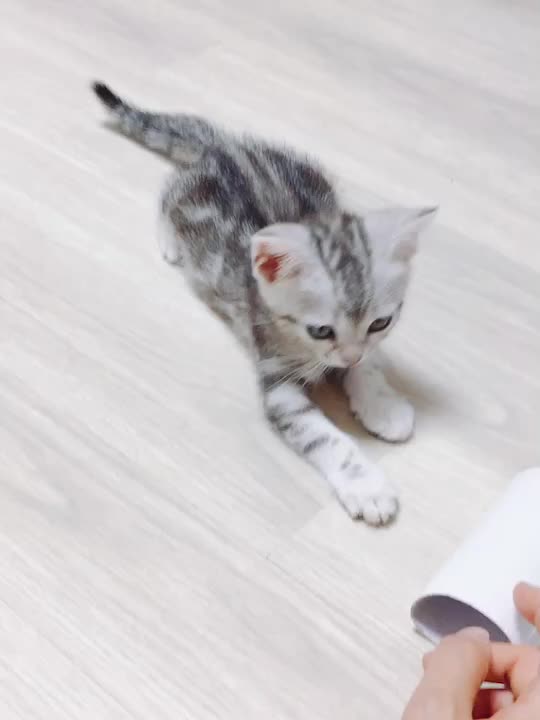 @이리