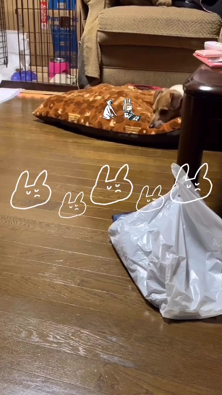 @魔霊蘭幽(まれぃ)