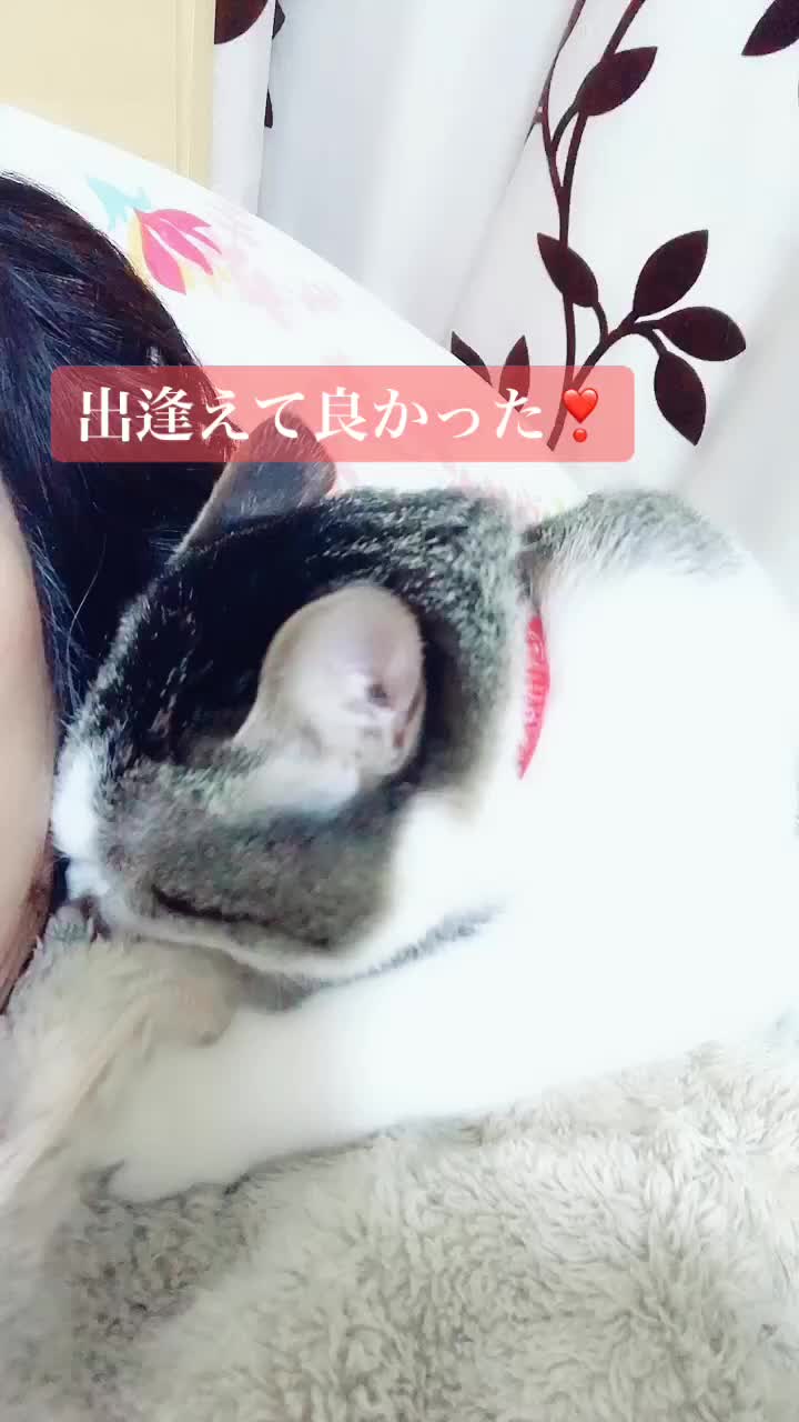 @rinyumi