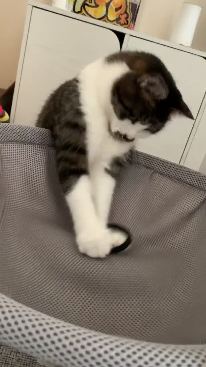 @°ส๐ฉตษ°