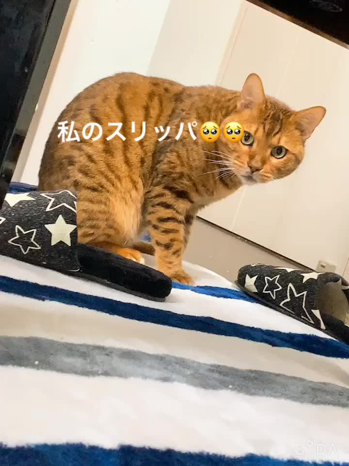@𝕐&𝕐