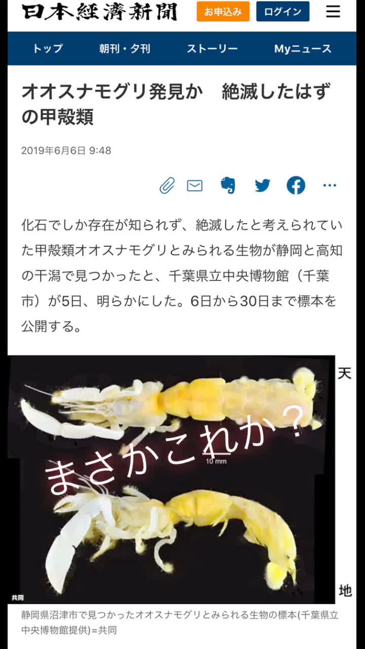 @ゆうすけ