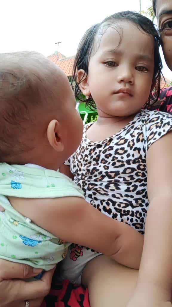 @Dalima Anugerah Utama