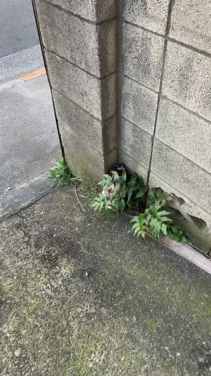 @株式会社 山惠