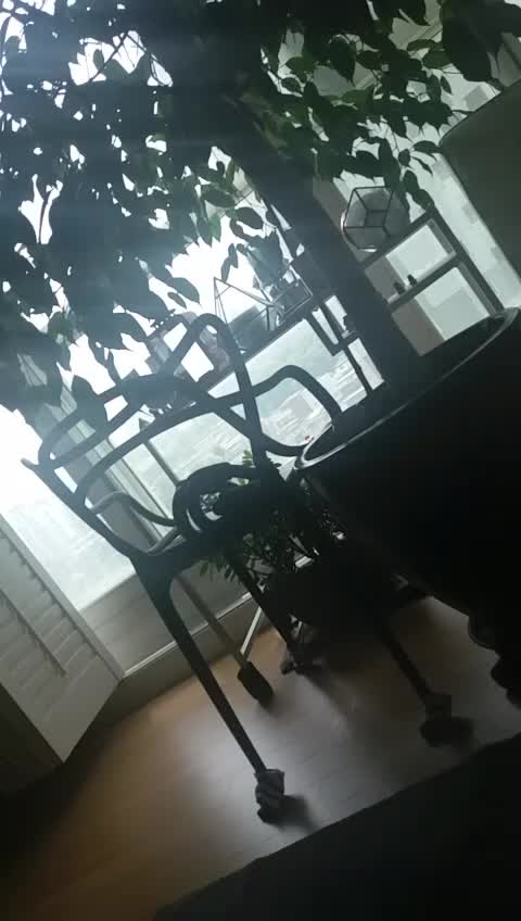 @피치
