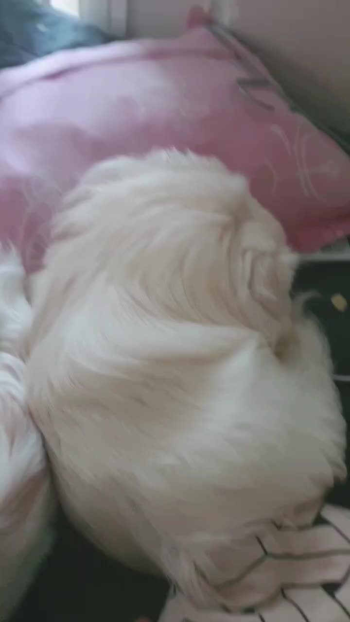 @๋ง์ค