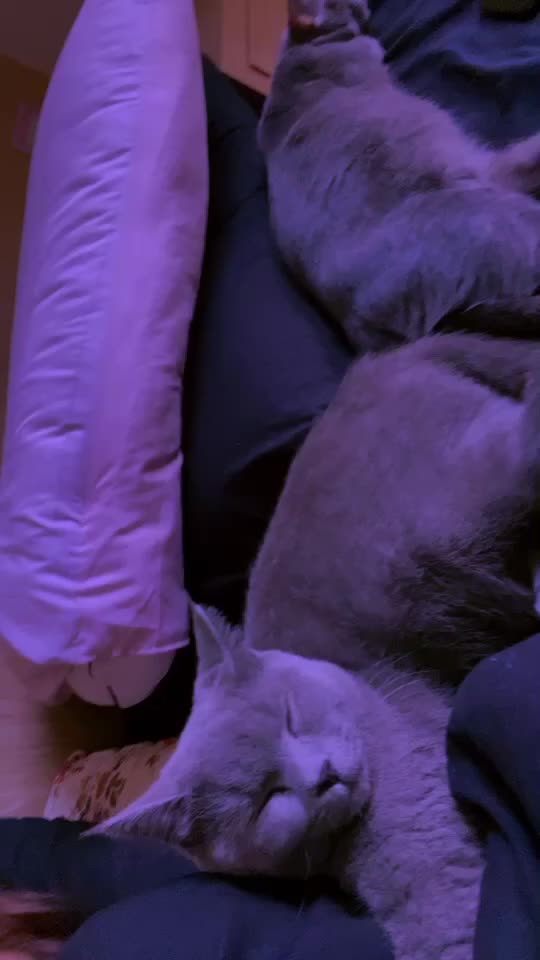 @灣灣