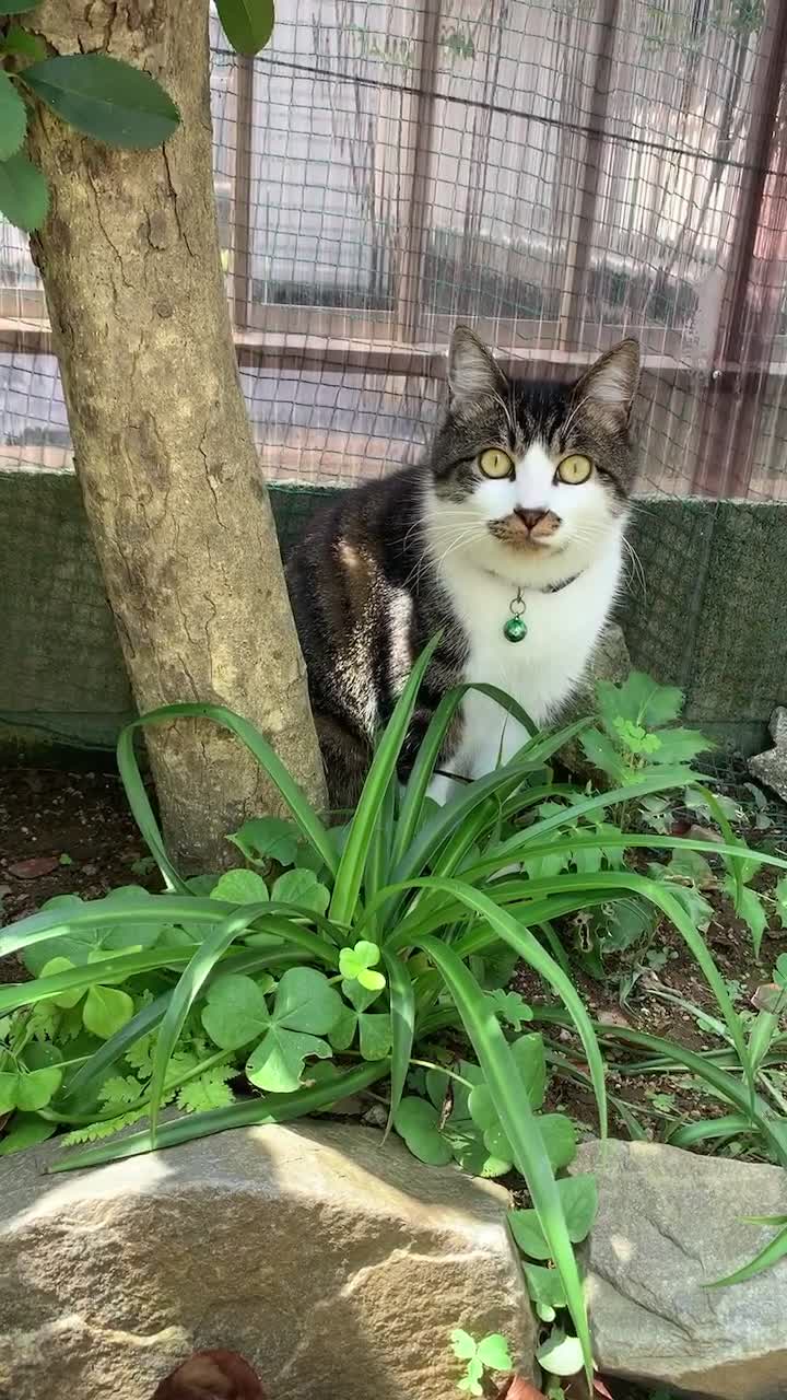 @°ส๐ฉตษ°