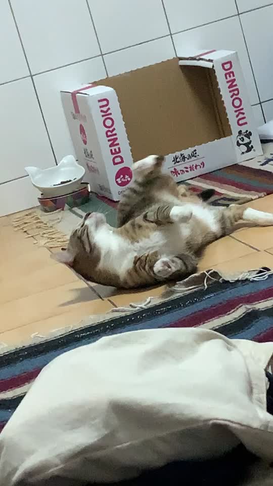 @蘇熙