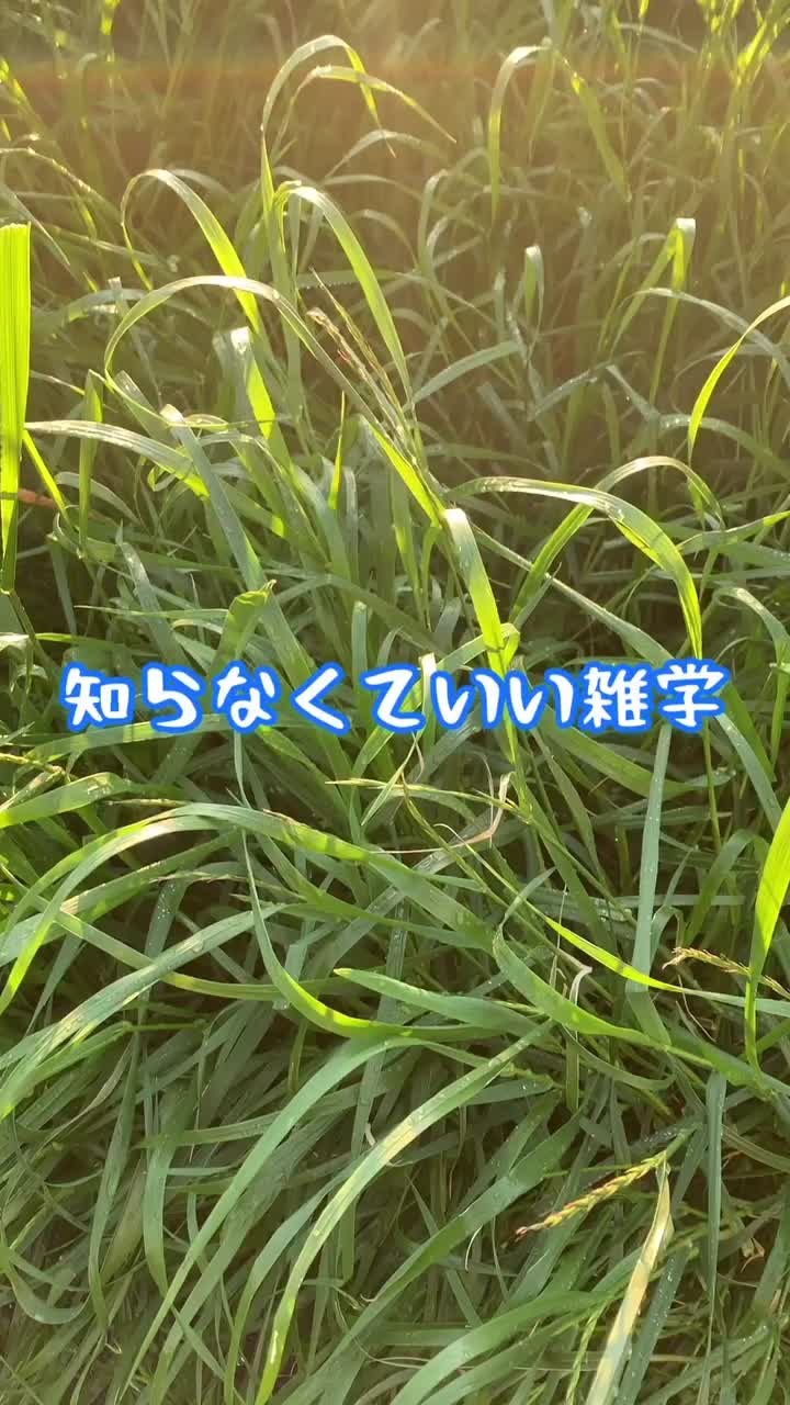 @ra9u