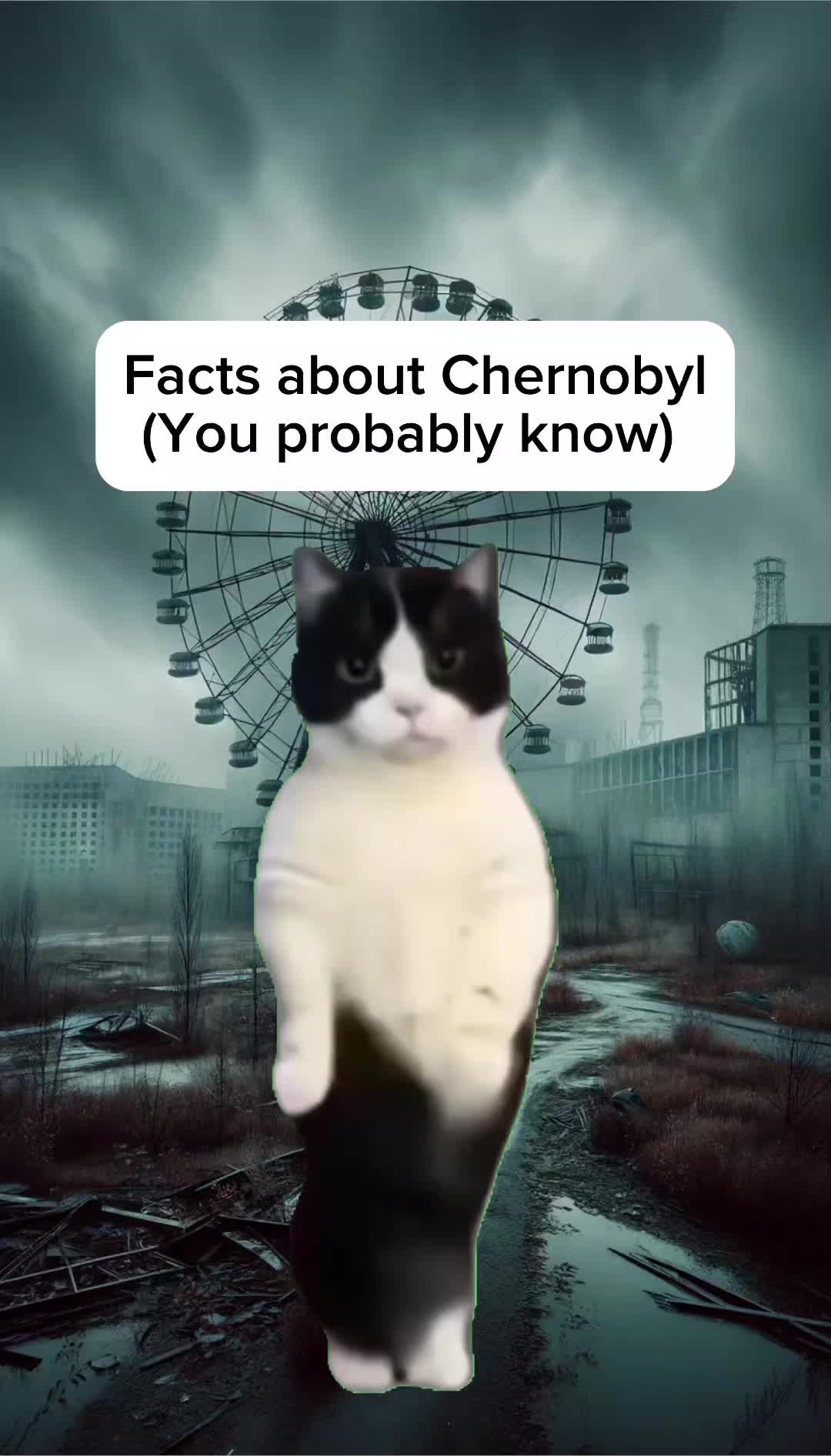 @Histonerd