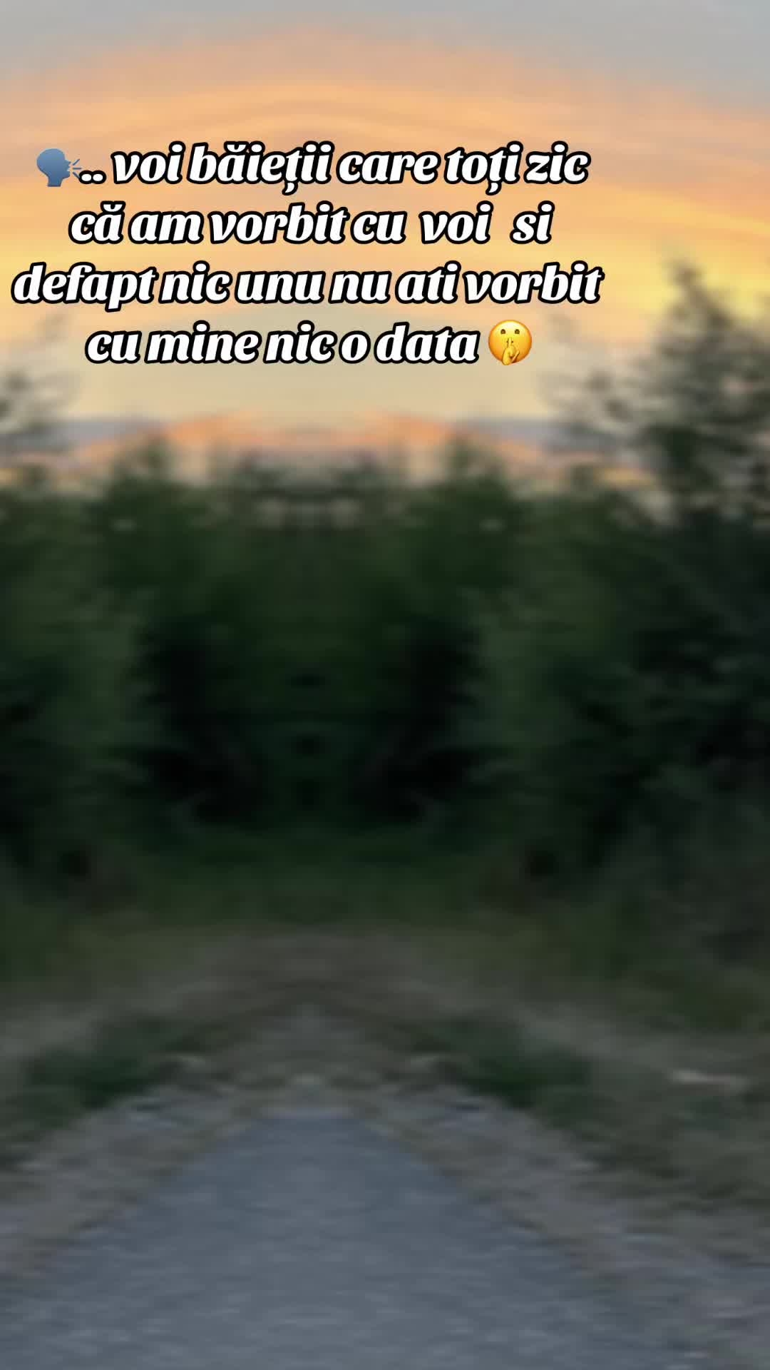 @Paulina Ciurar