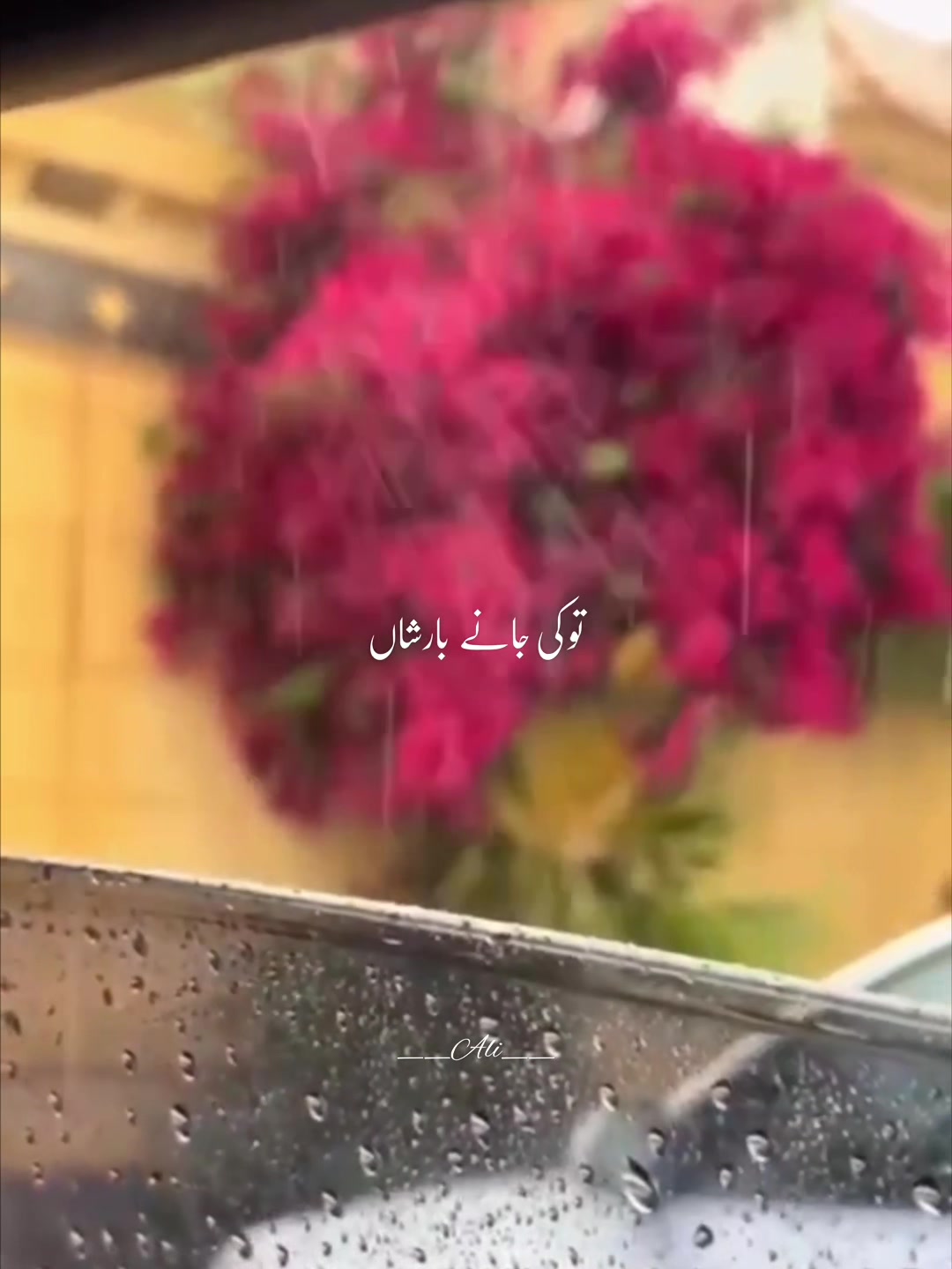 @Laiba 🫶🏼