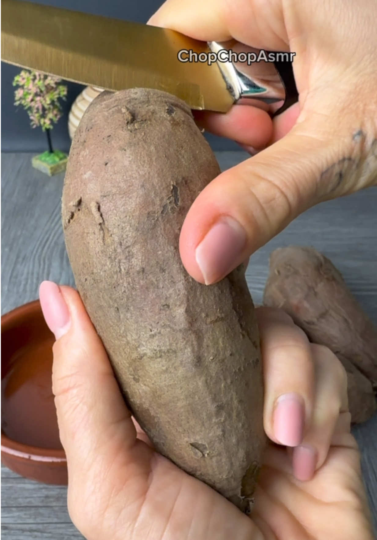 @ChopChopAsmr