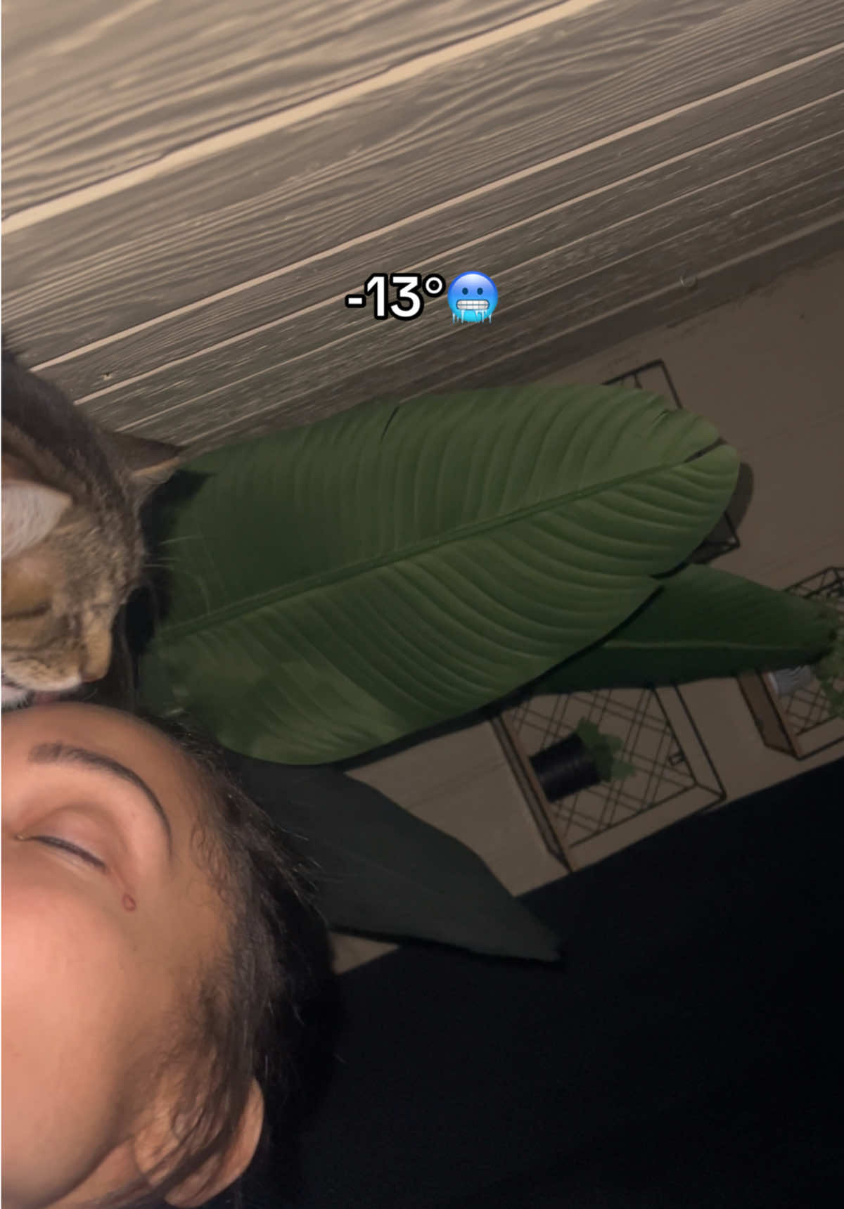 @Tricey_b23