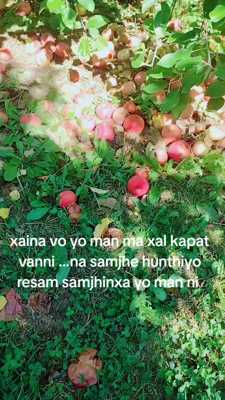 @prakash oli🇳🇵🇳🇵🇺🇲🇺🇸