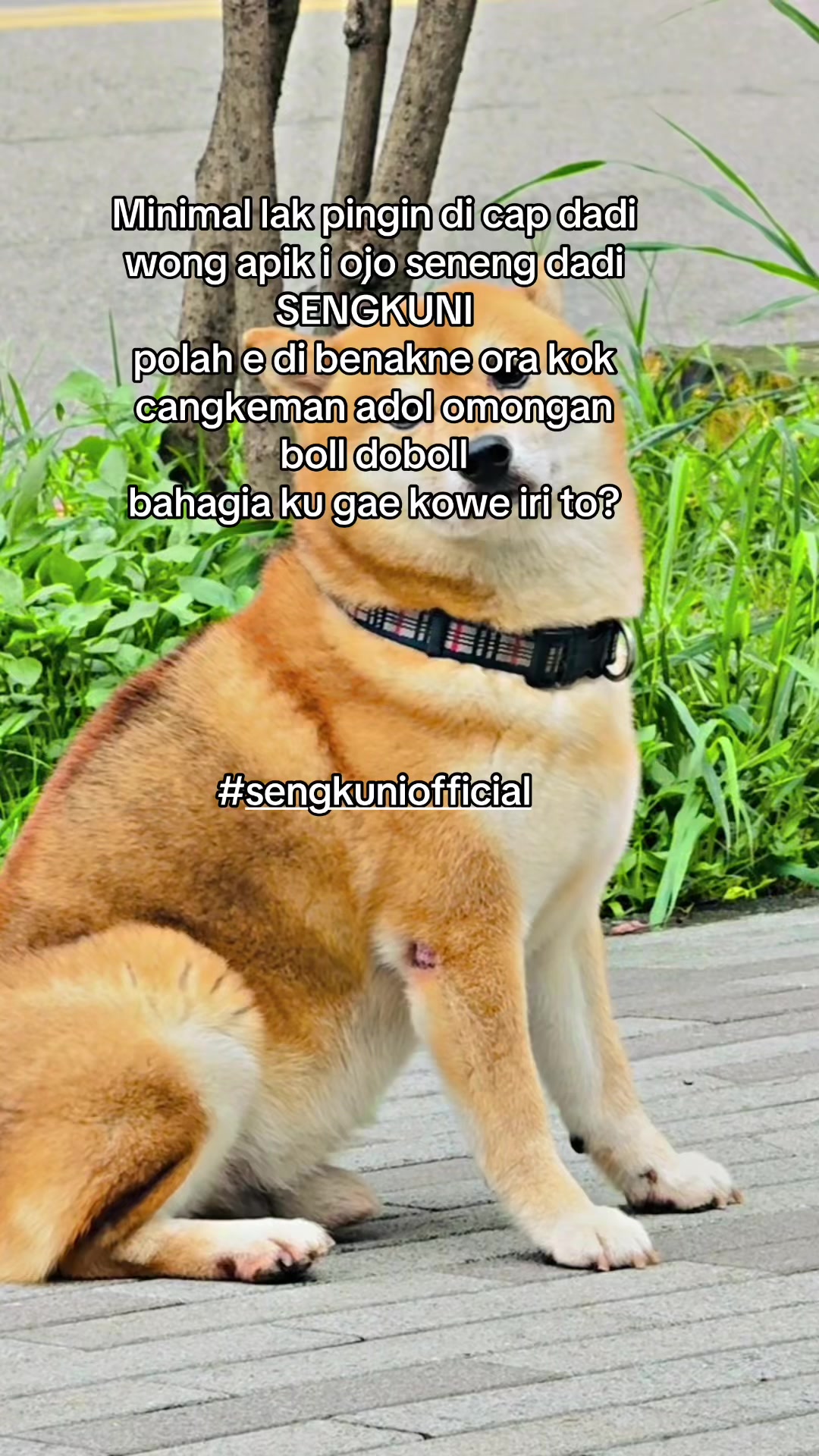 @🎀𝓥𝓪𝓷_𝓥𝓪𝓷𝓷𝔂🎀