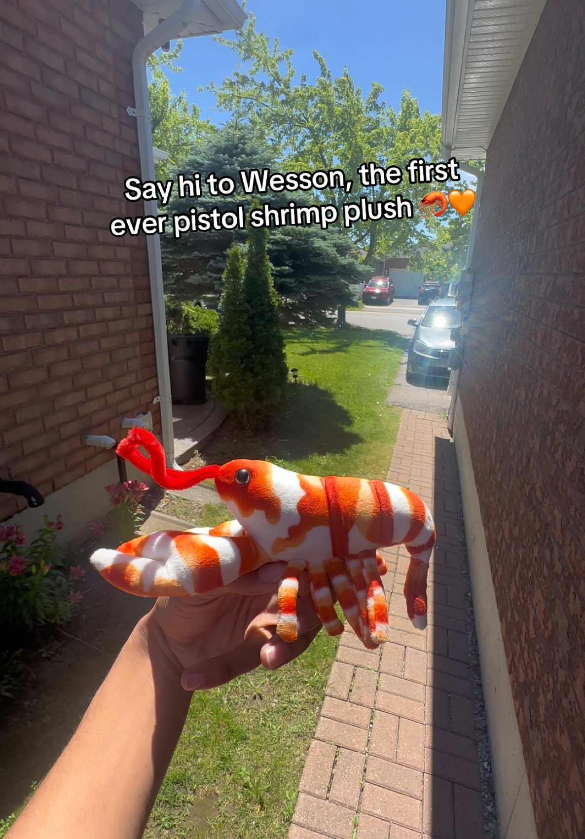 @ReefSync