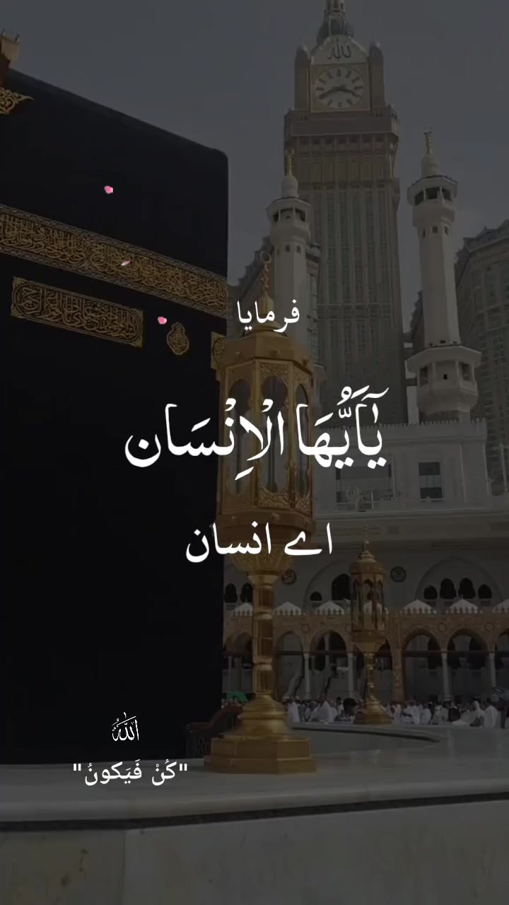 @Hani