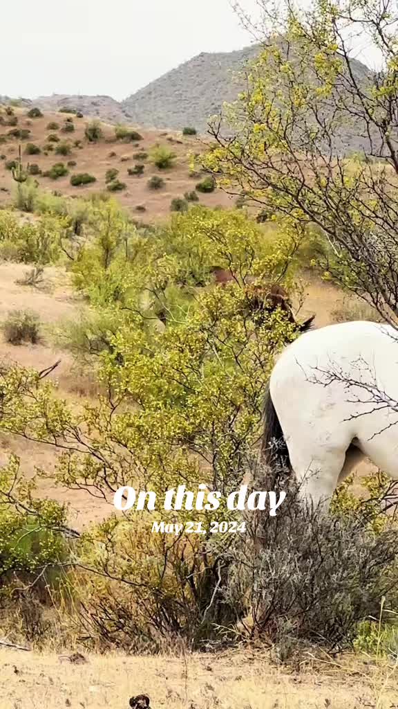 @ASMR Nature Love