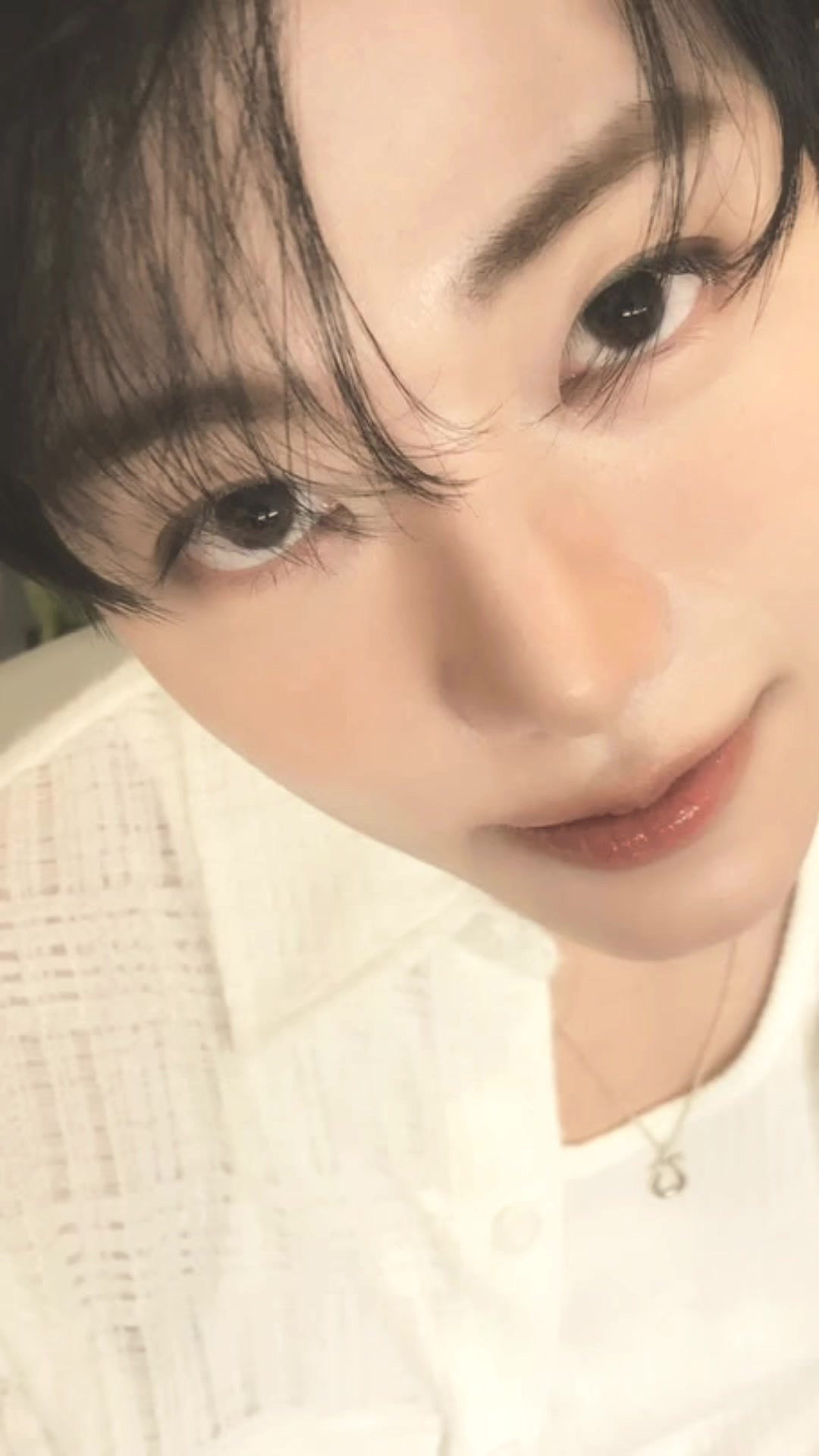 @Sibucin_exonct