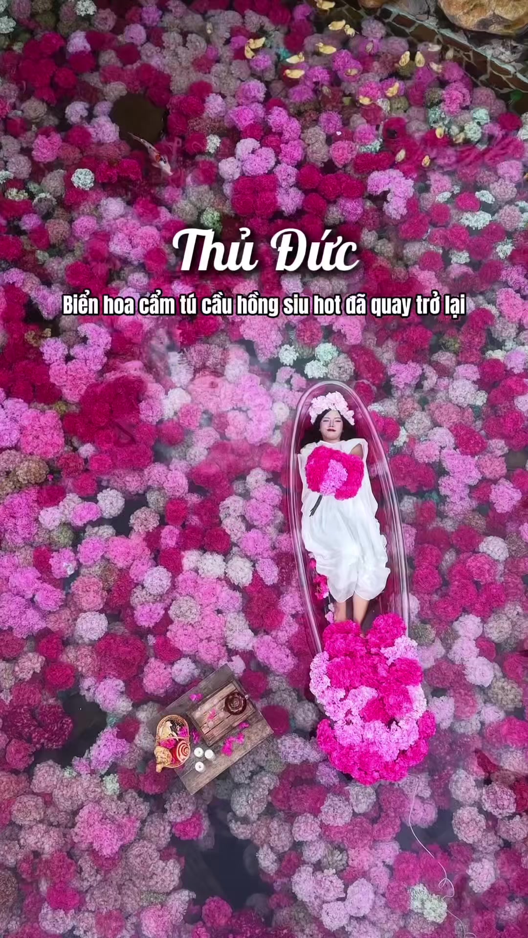 @thao leader