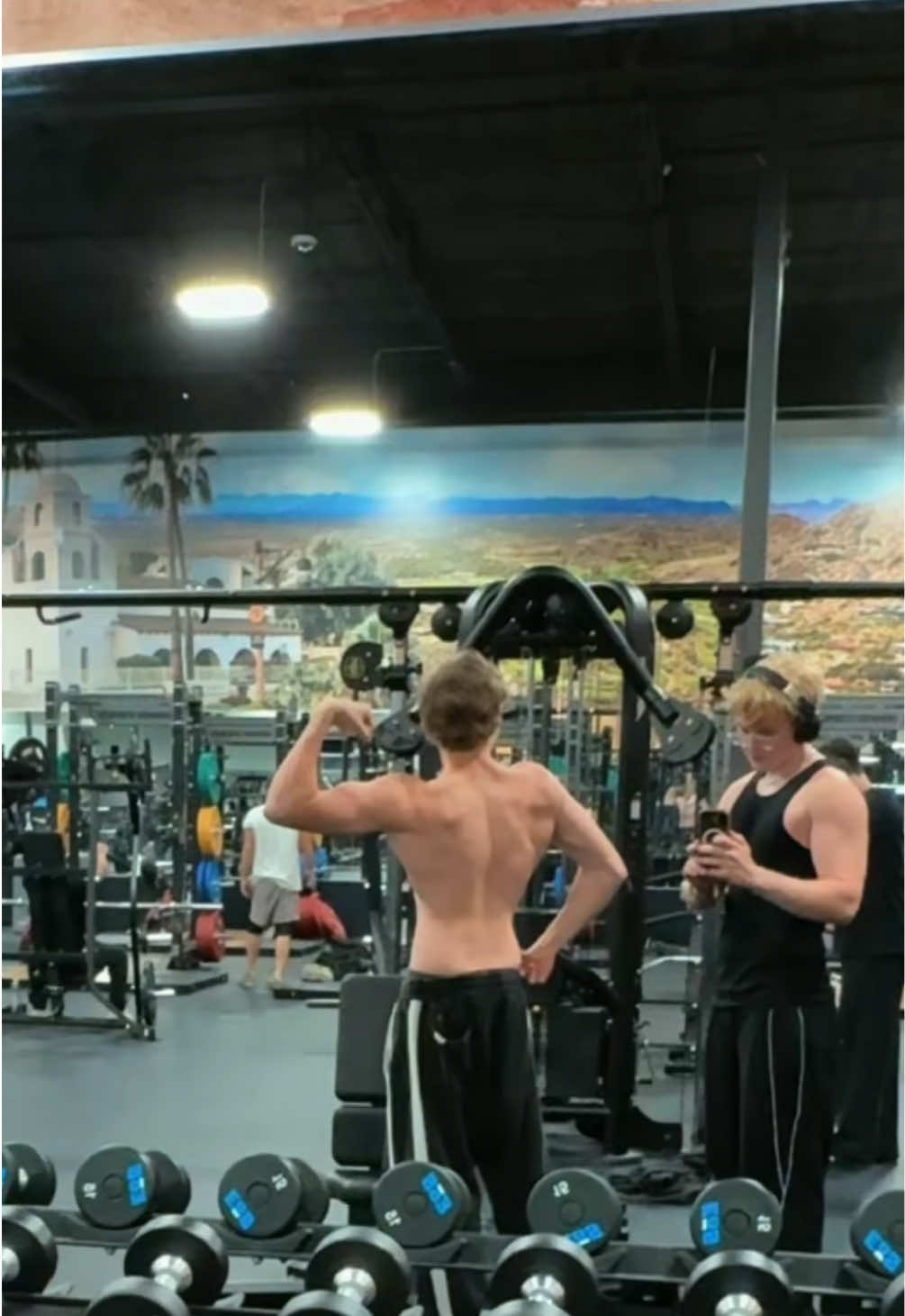 @colelifts2009