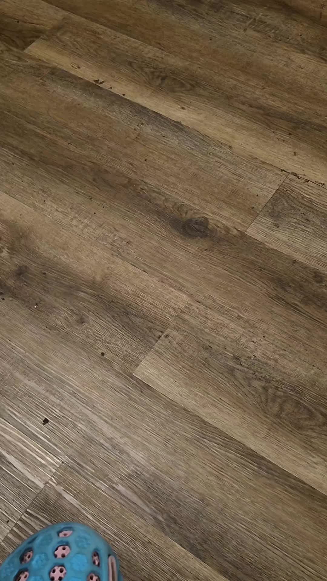 @nicolecortes