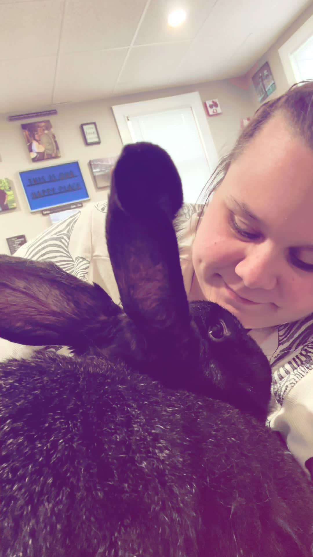@amanda_loves_panda