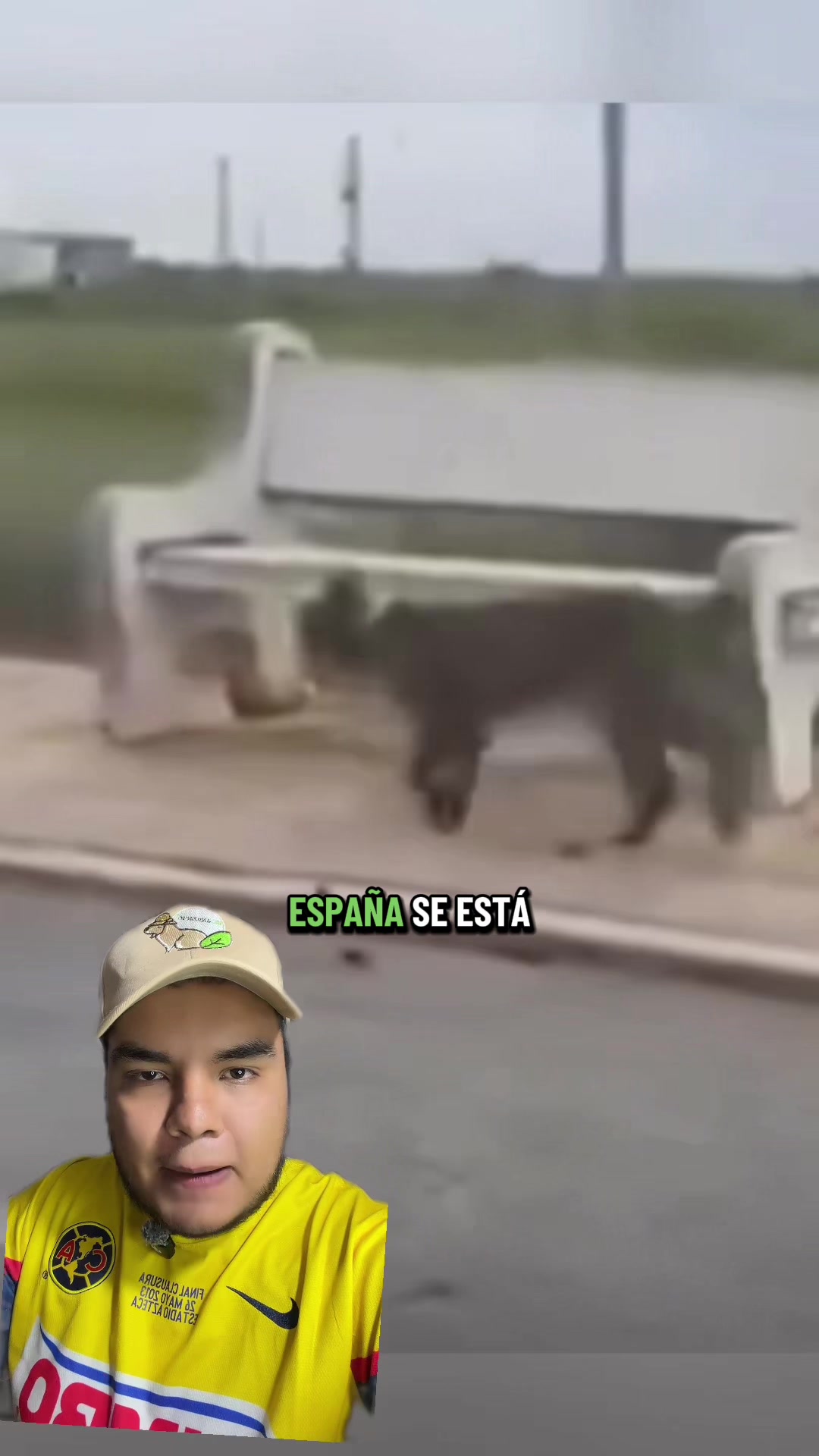 @Jair Herrera 🐆