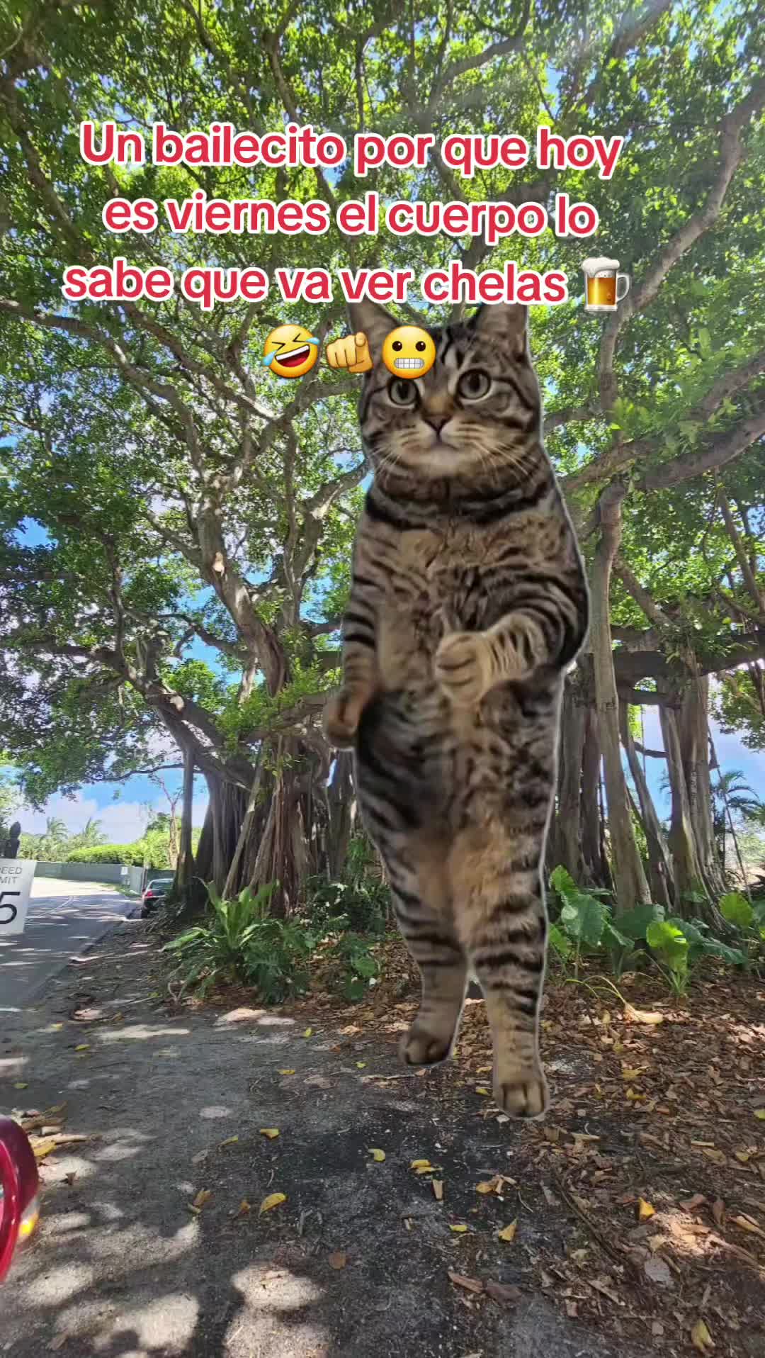 @Gabrielito 502