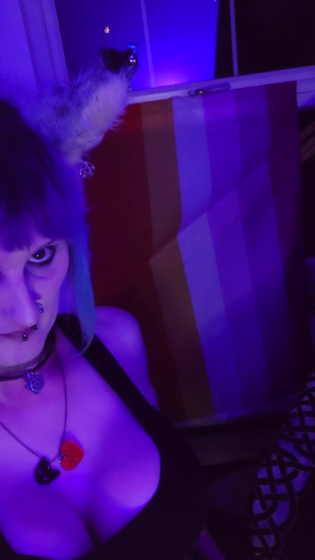 @Violet_FireCat