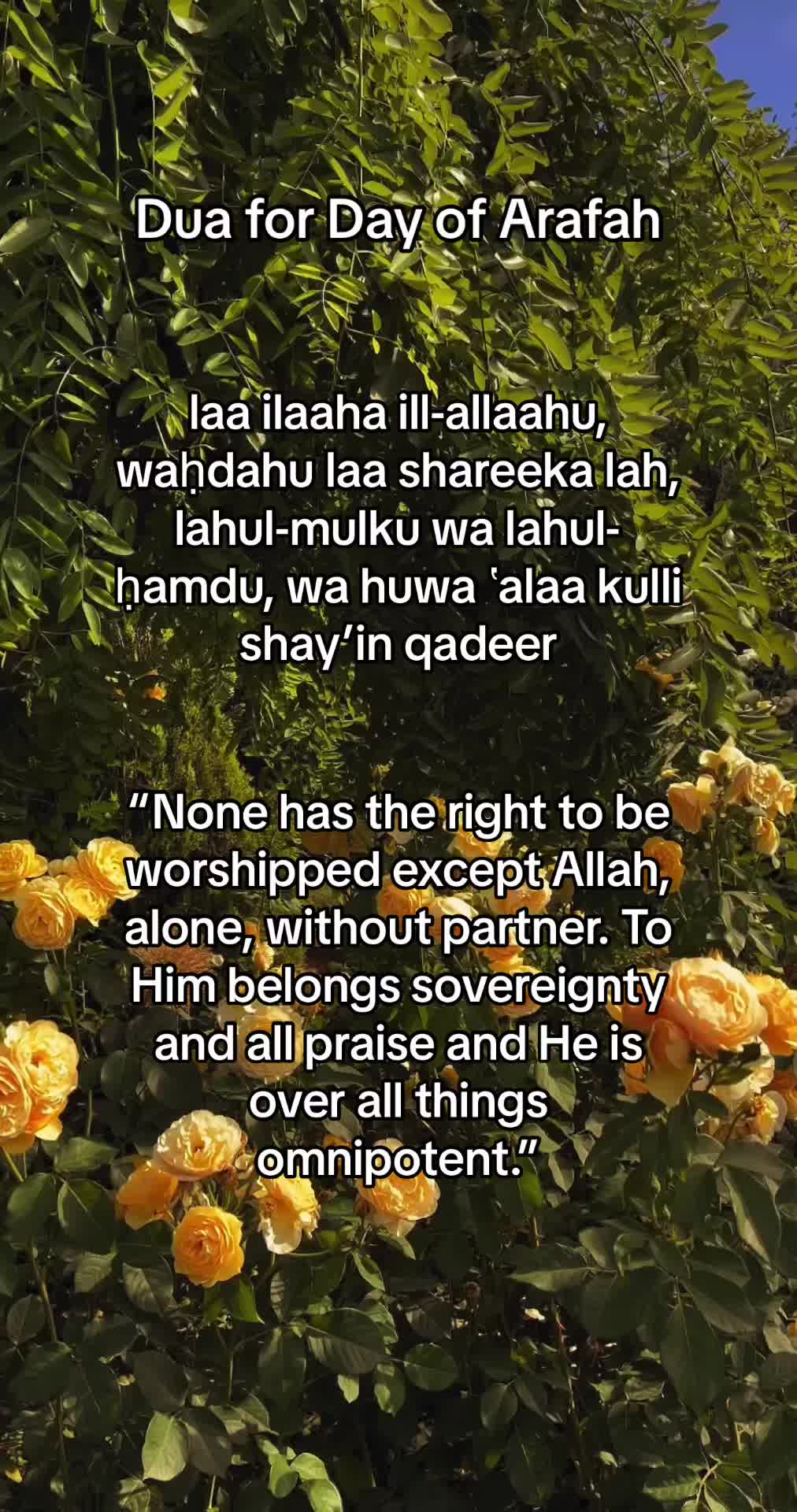 @Quranicrecitationss
