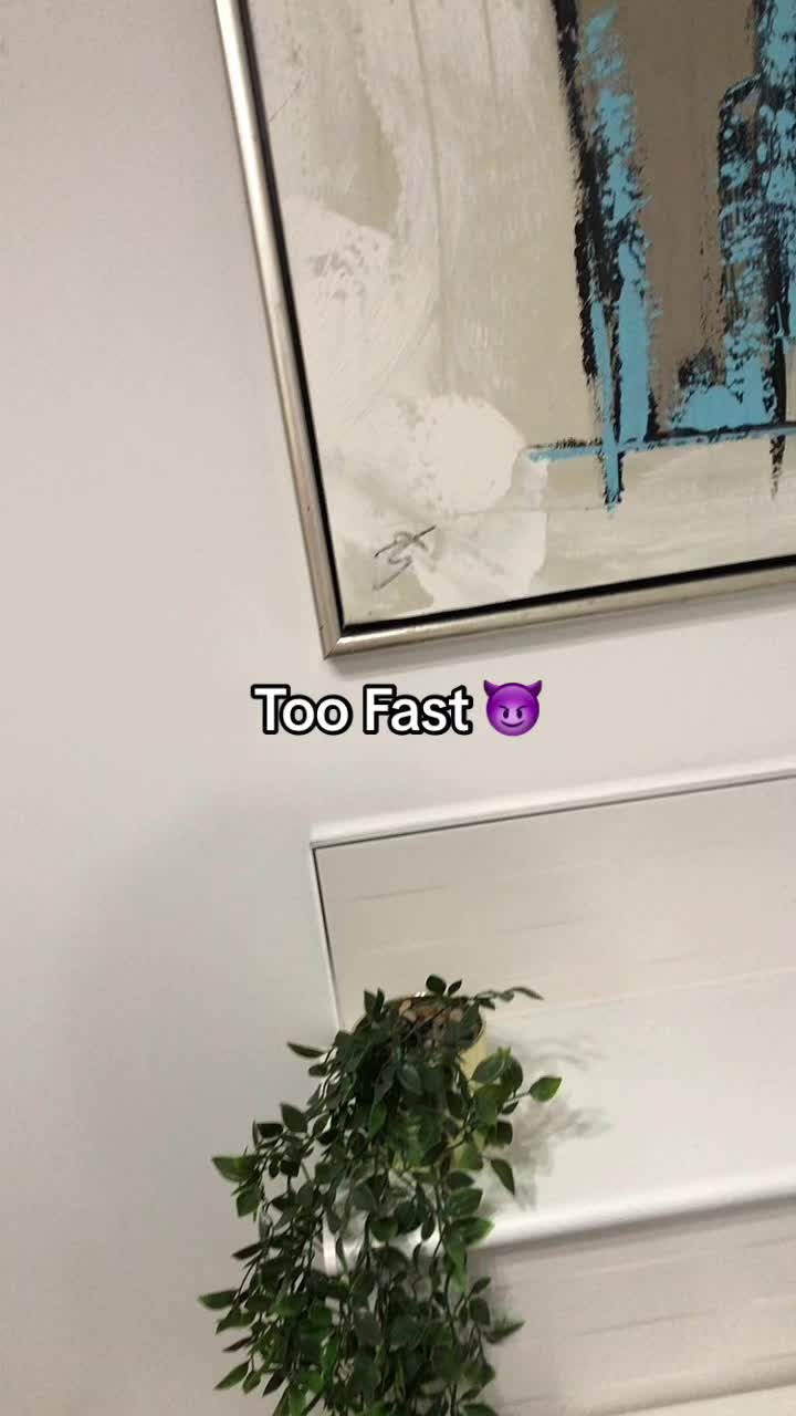 @alflash