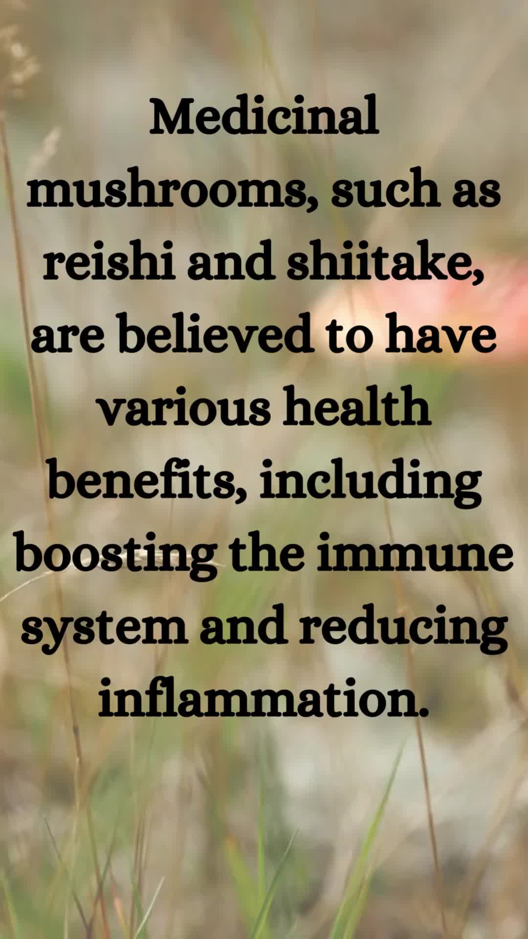 @TheFungiFeed