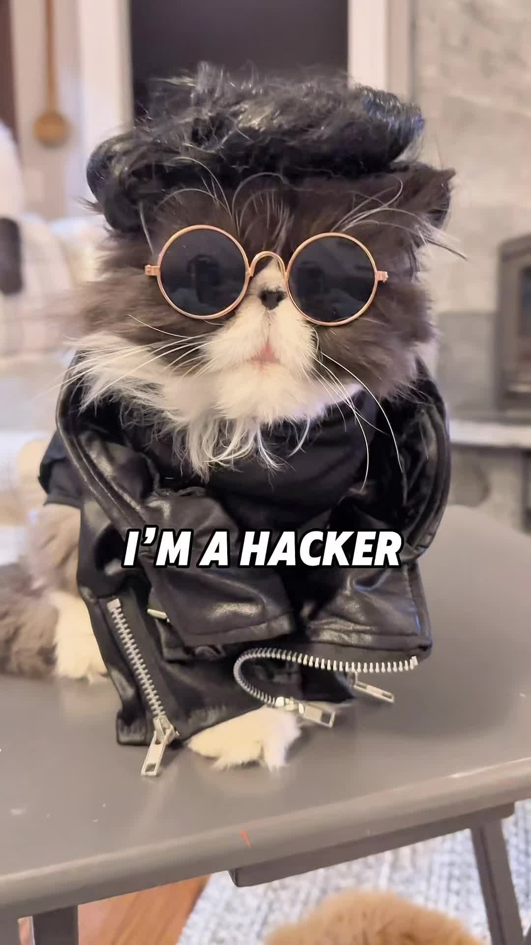 @Walter Bishop The Cat