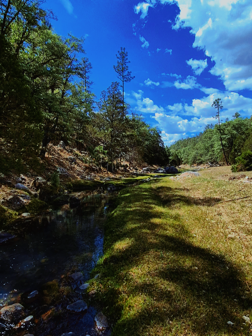 @Black Sheep Trail