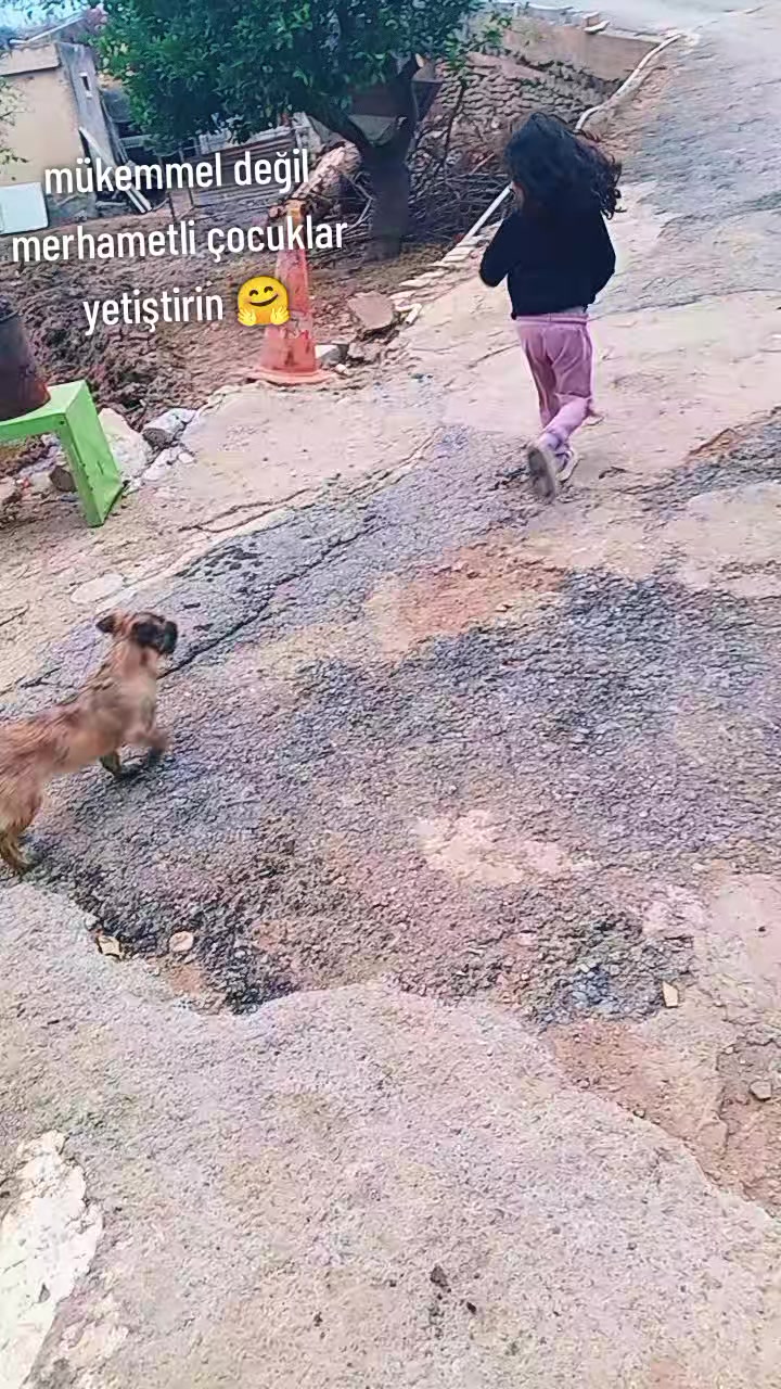 @❣︎🇦 🇾 🇸 🇮 🇲 🇦 ❣︎