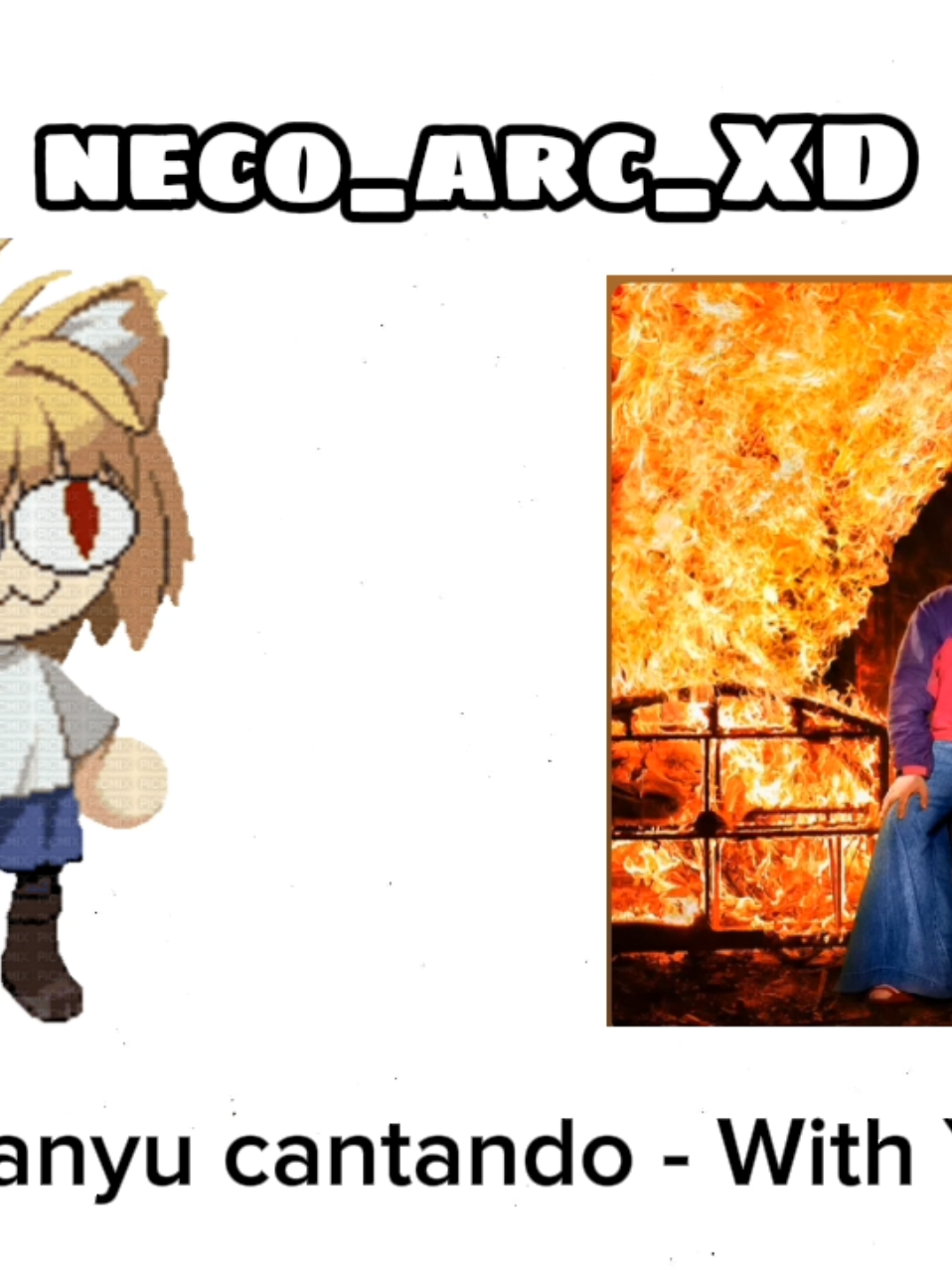 @neco_arc_XD
