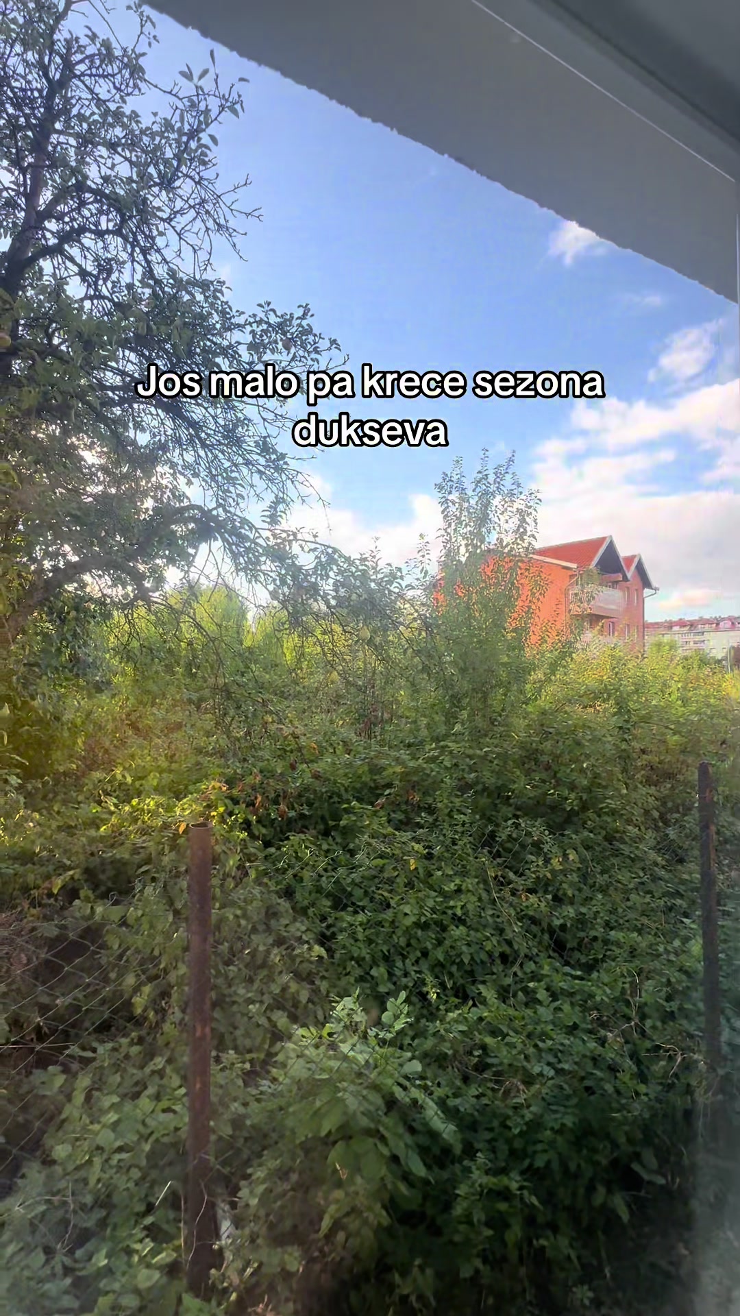 @harunovdje1