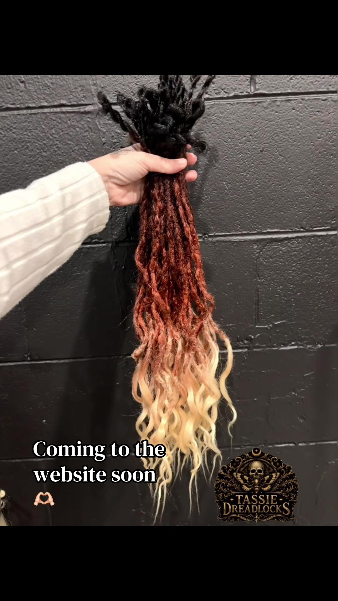 @Sj   💀  Tassie Dreadlocks