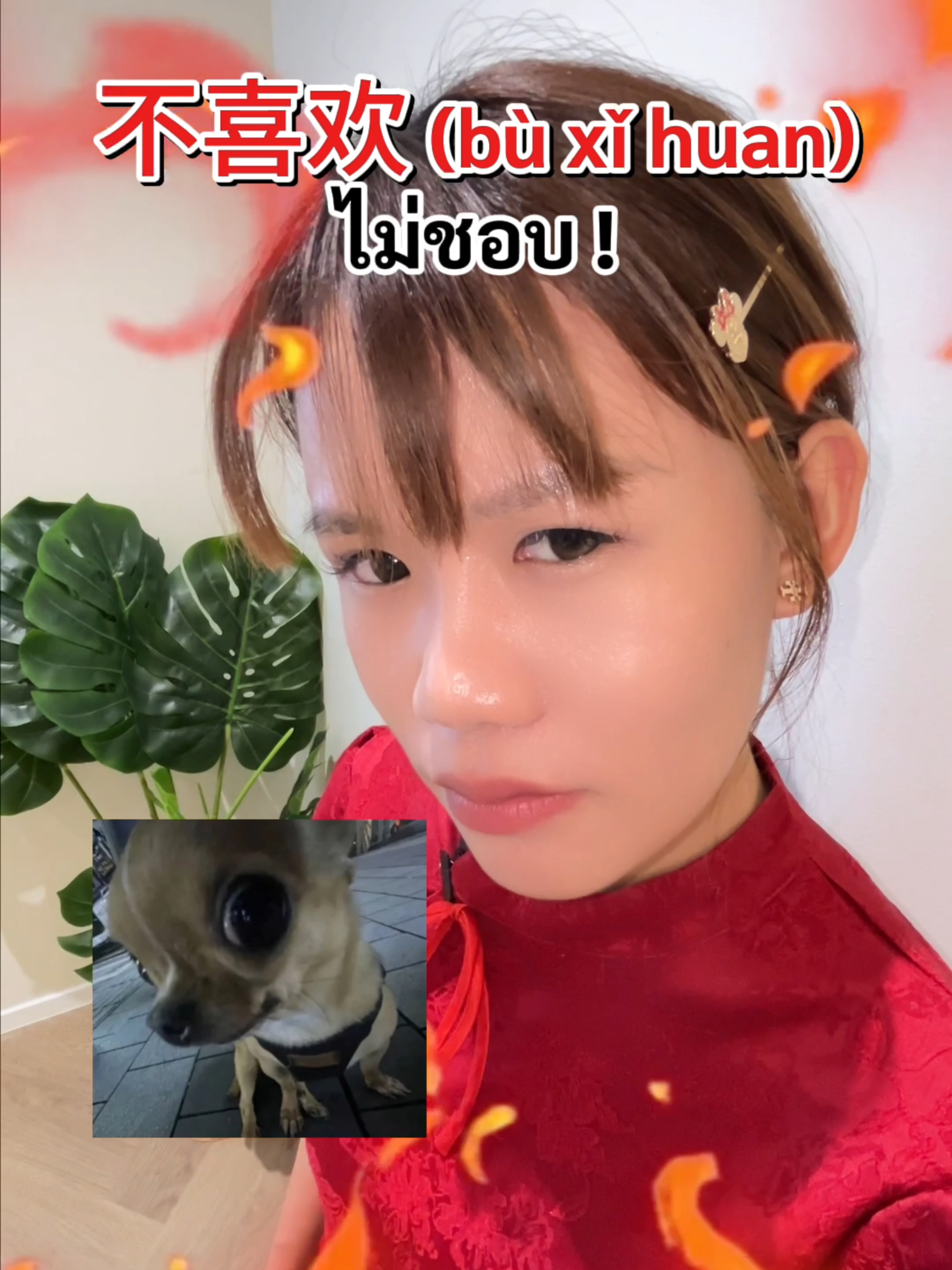 @ChineseHack