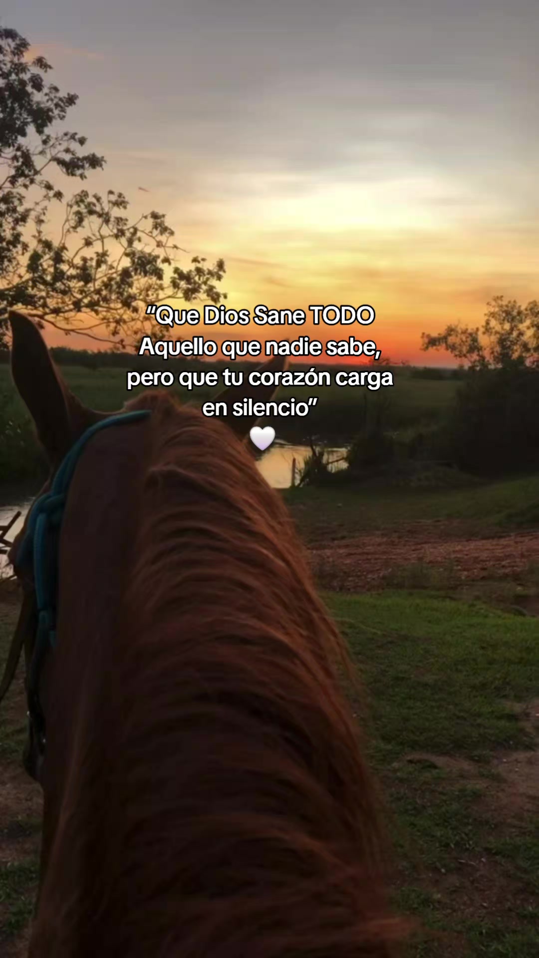 @Letras de fe