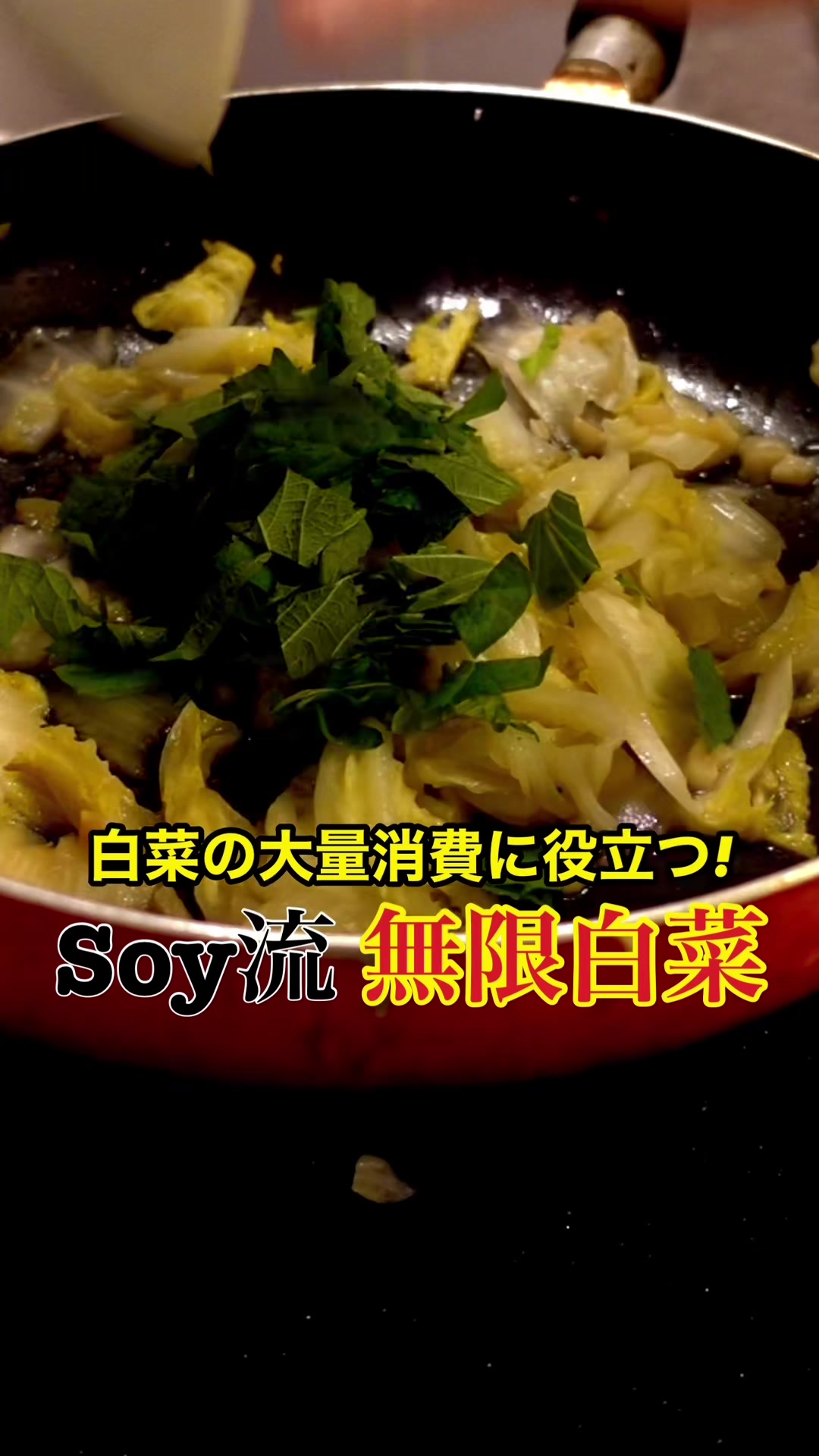 @Soy王子