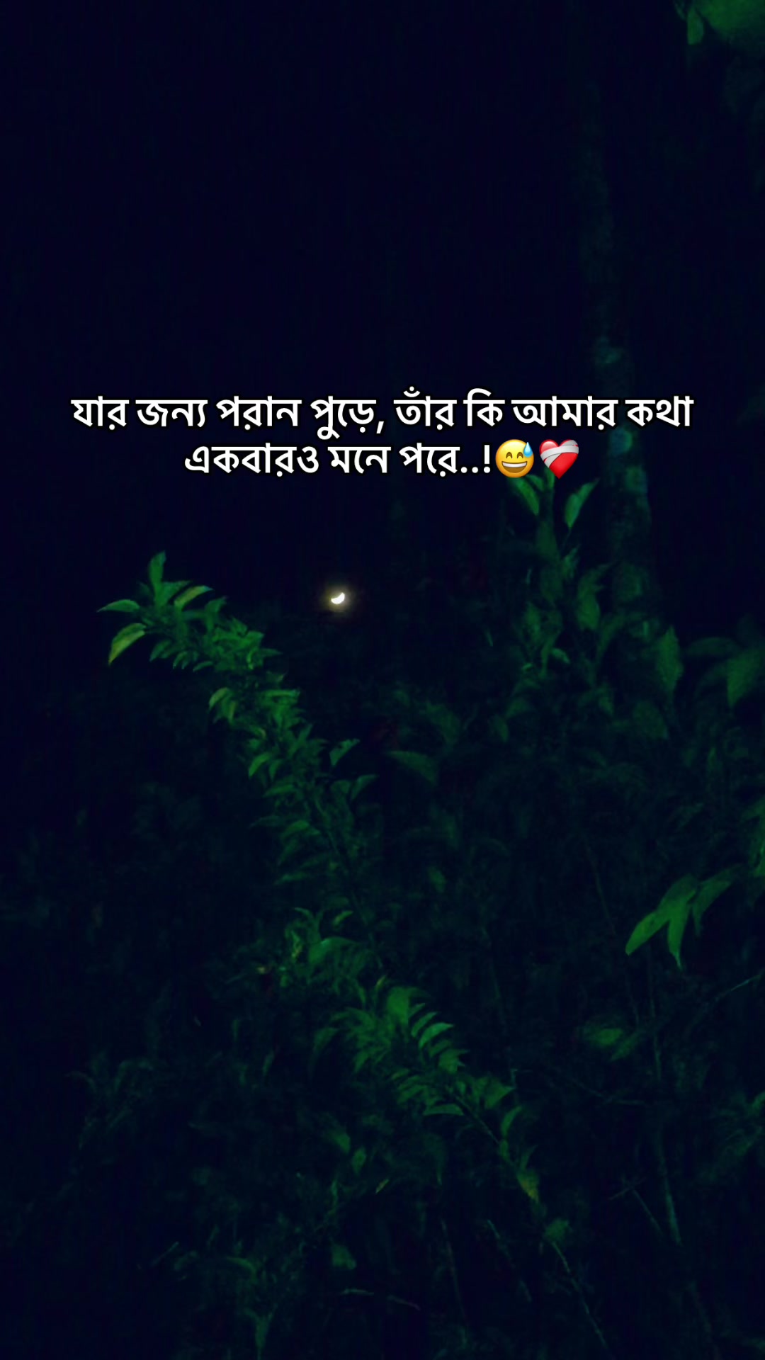 @the_spydoo🕸️ 🥏