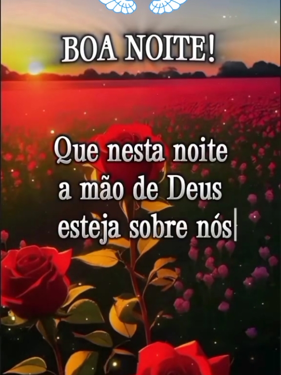 @Niube Resende💃👠📕🇧🇷🌻