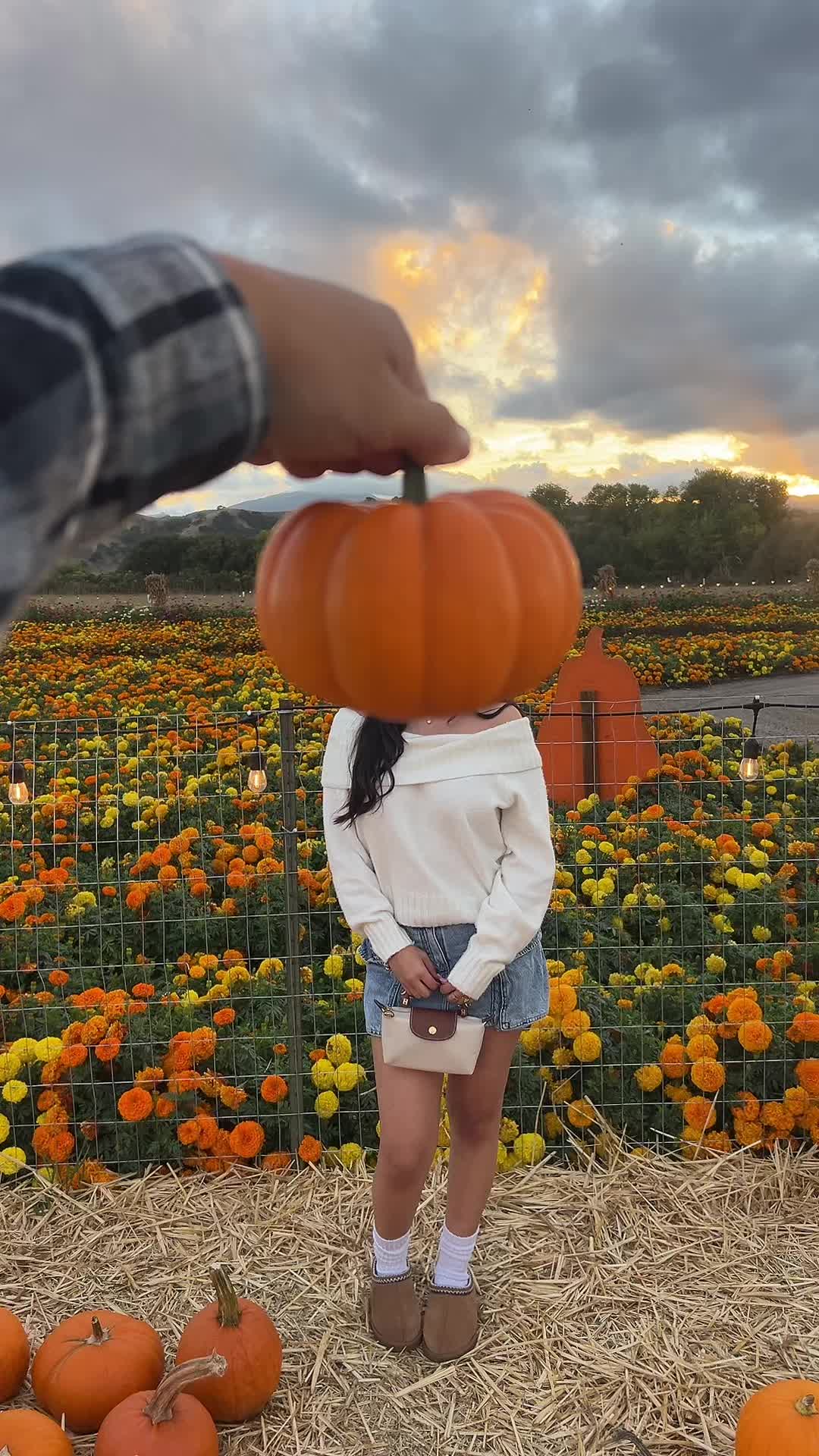 @stephanie ᢉ𐭩