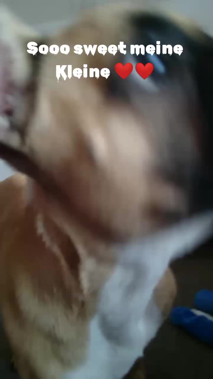 @Scherfiii_Twitch