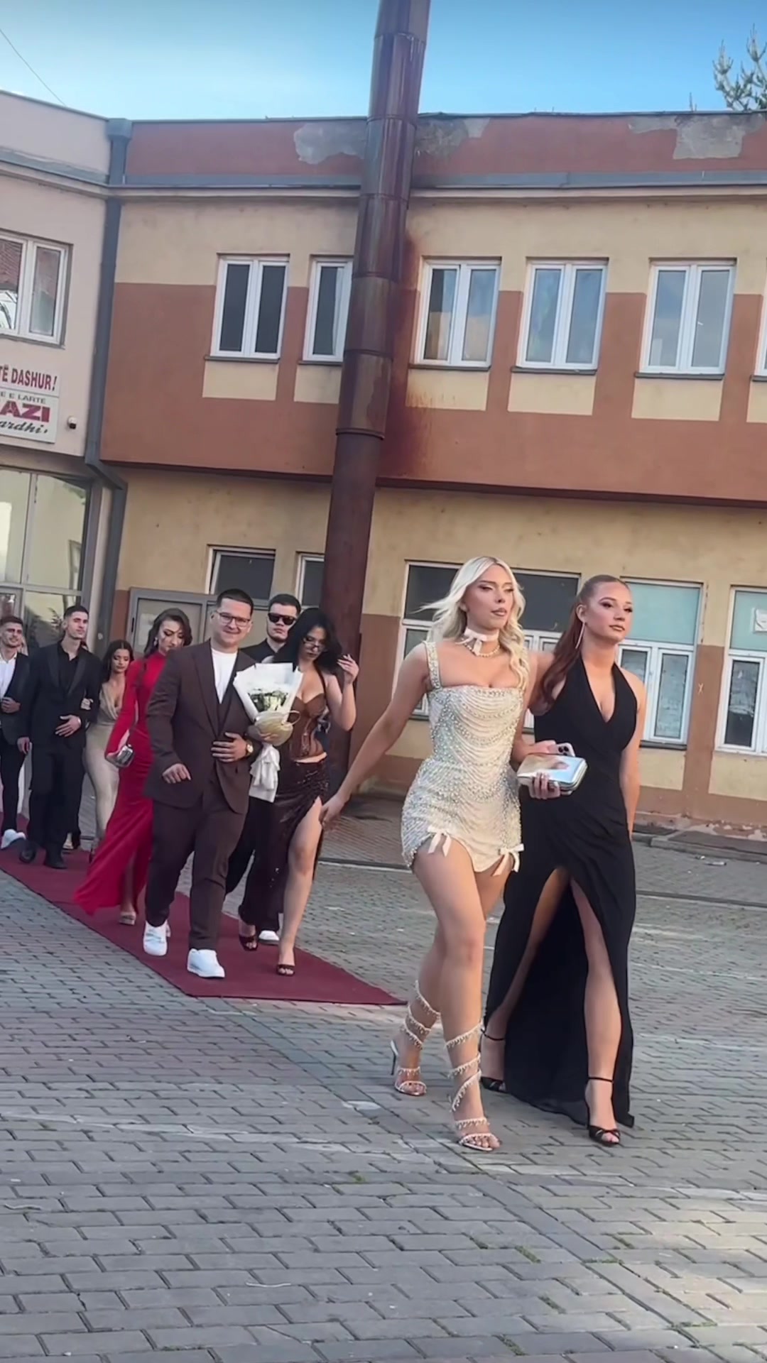 @mitrovicaliket.ma.tforta